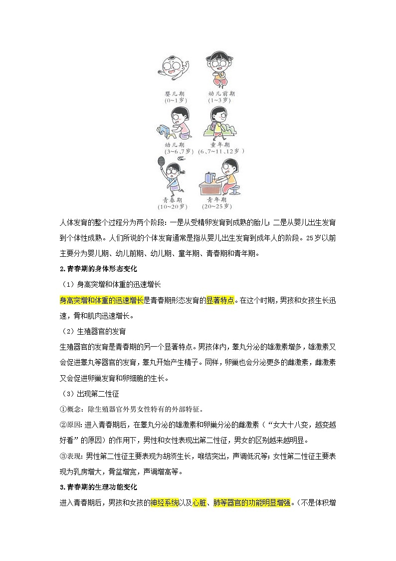 第四单元 第1章 第2节 青春期 2025-2026学年初中生物人教版2024七年级下册同步讲义（解析版）第2页