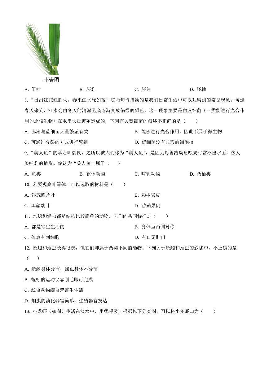 山东聊城市东昌府区2025~2026学年第一学期期末调研七年级生物试题（试卷+解析）第2页