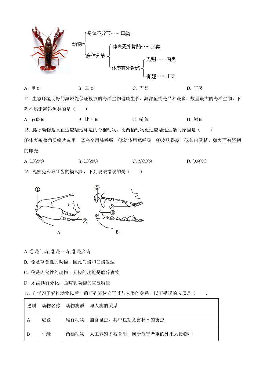 山东聊城市东昌府区2025~2026学年第一学期期末调研七年级生物试题（试卷+解析）第3页