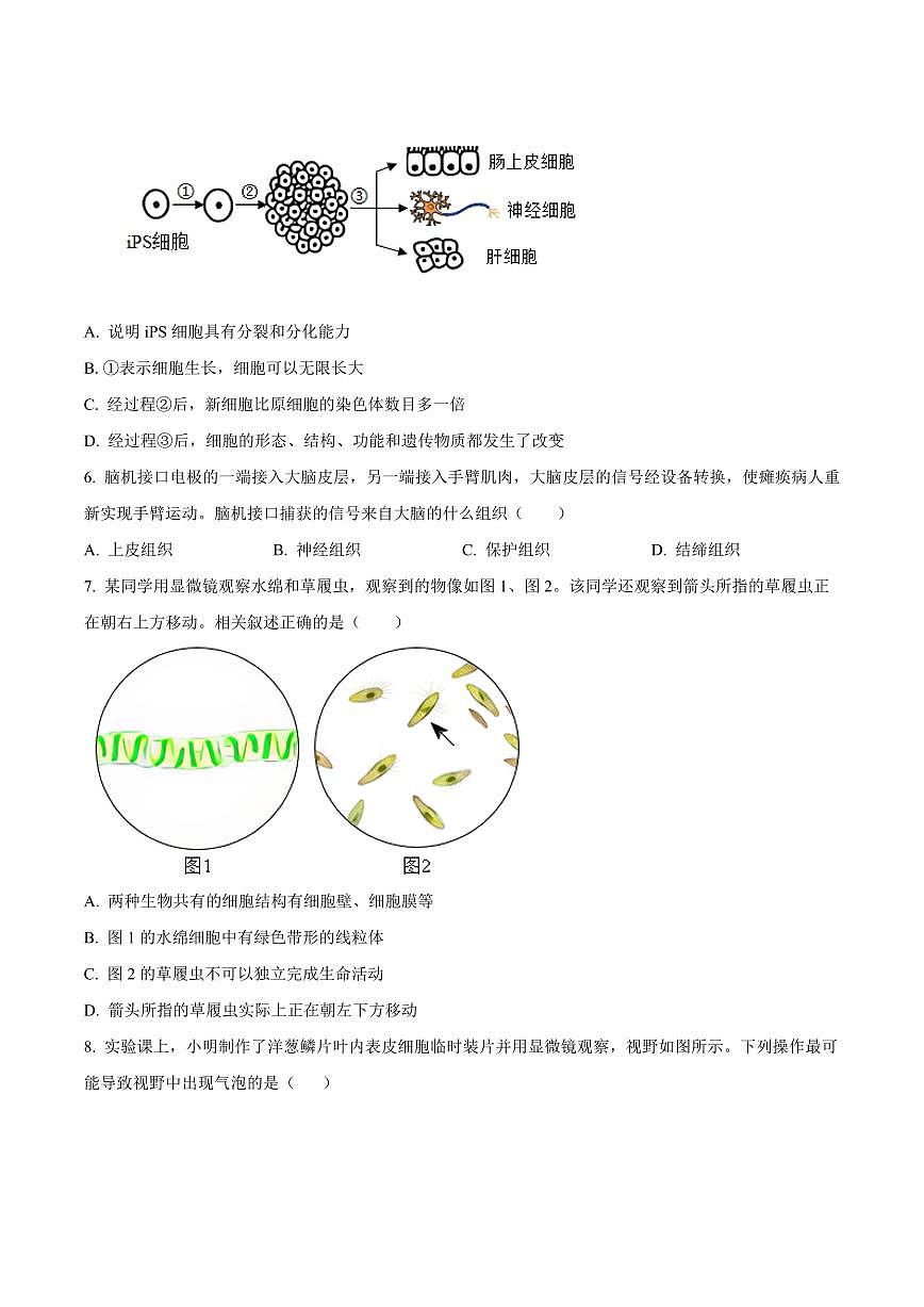 山东德州市平原县2025-2026学年第一学期期末学业水平检测七年级生物试题（试卷+解析）第2页