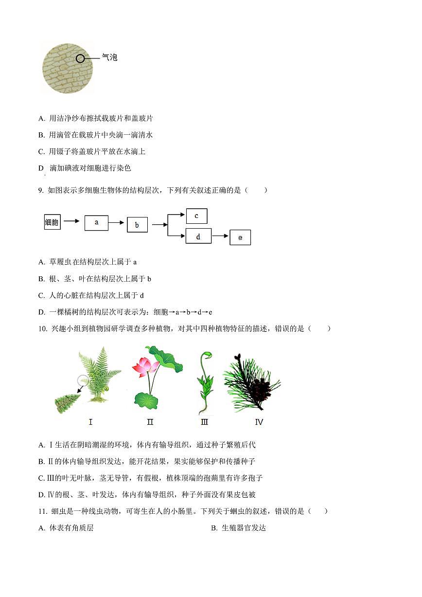 山东德州市平原县2025-2026学年第一学期期末学业水平检测七年级生物试题（试卷+解析）第3页