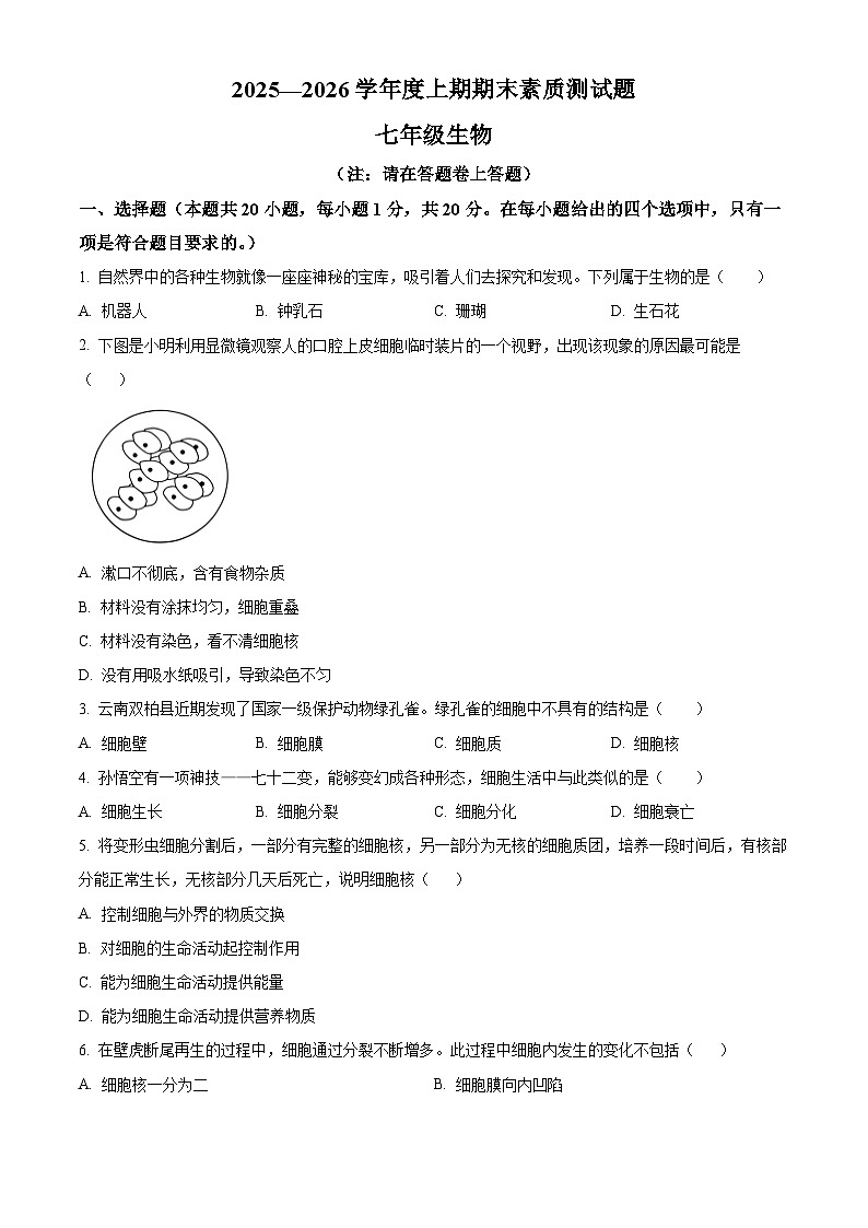 河南商丘市民权县2025-2026学年度上学期期末七年级生物（试卷+解析）第1页