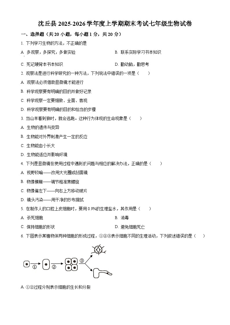 河南周口市沈丘县2025-2026学年度上学期期末考试七年级生物试卷（试卷+解析）第1页