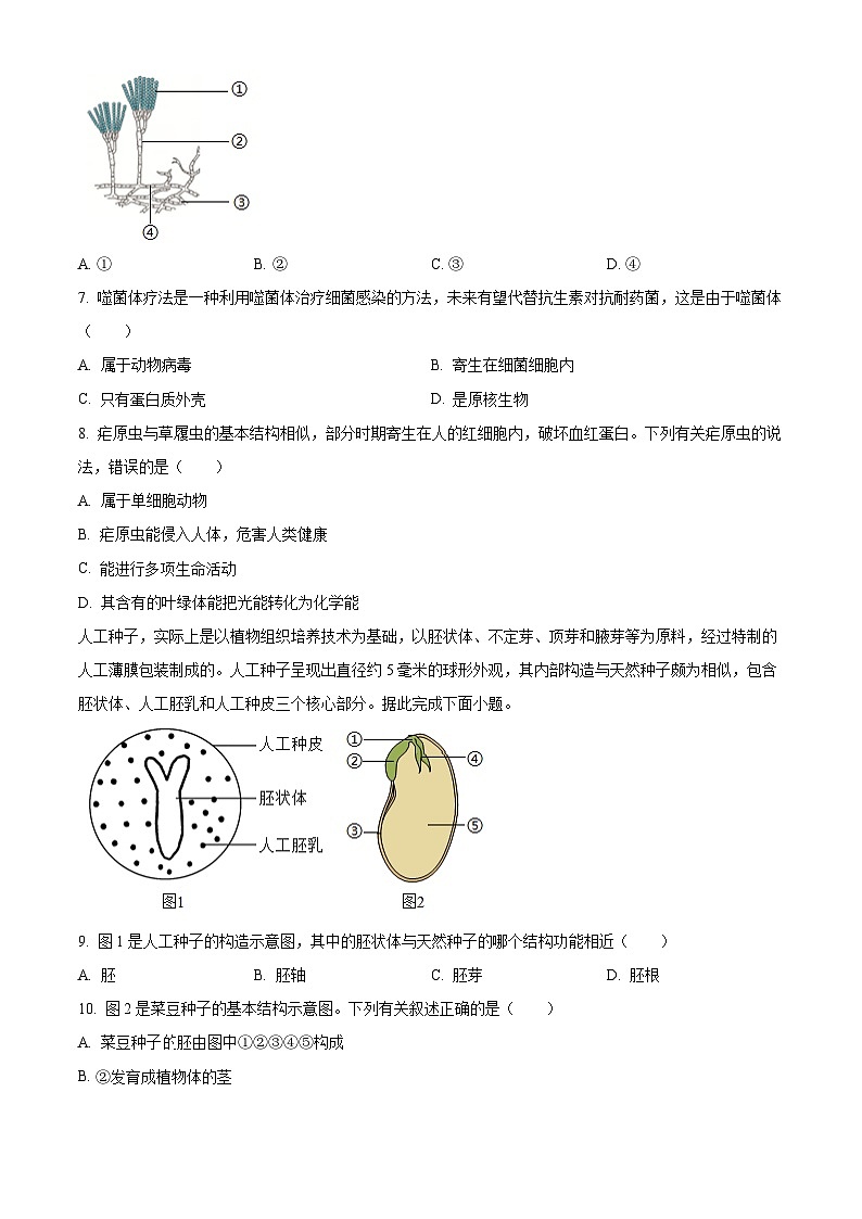 陕西省西安市高陵区2025-2026学年七年级上学期期末生物试卷（试卷+解析）第2页