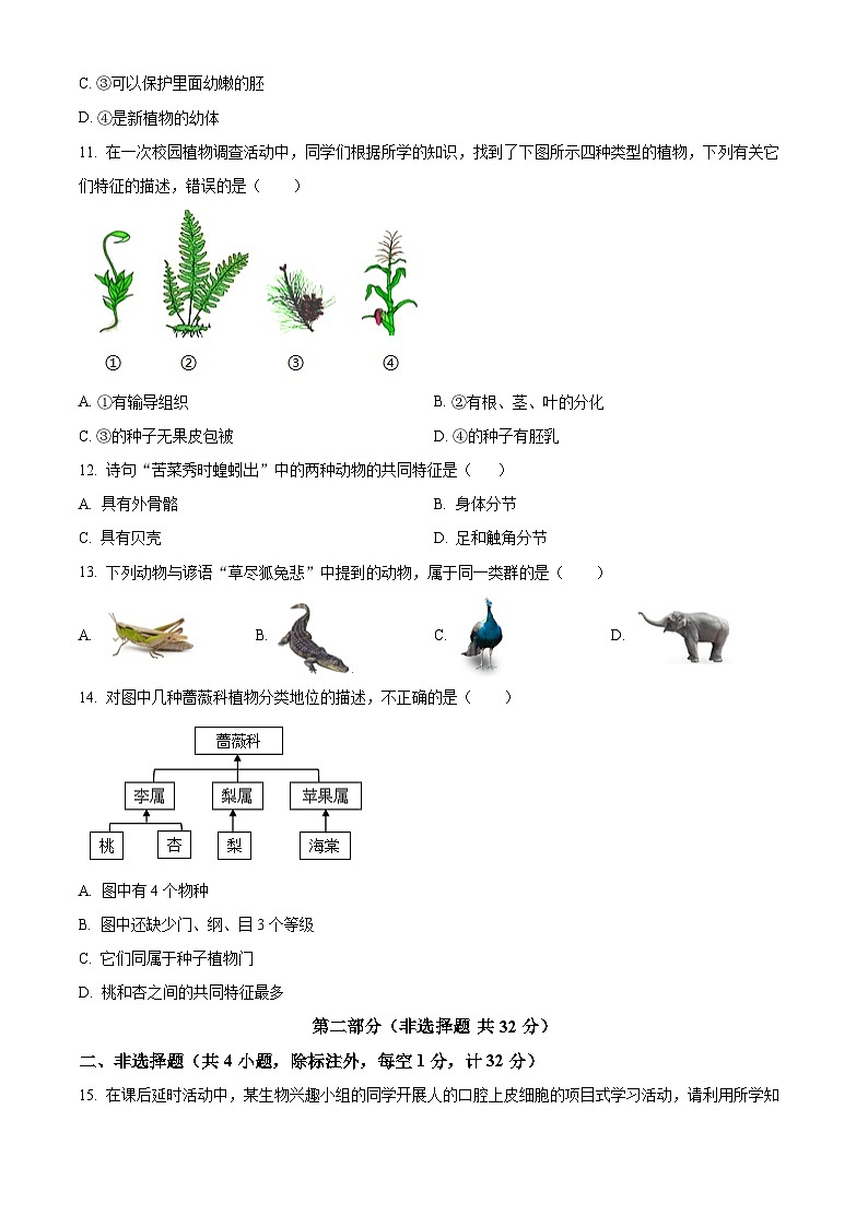 陕西省西安市高陵区2025-2026学年七年级上学期期末生物试卷（试卷+解析）第3页