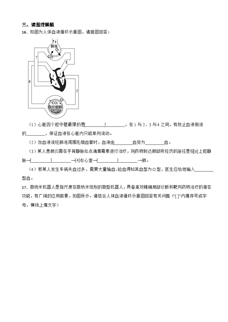 4.4.3输送血液的泵——心脏-2025-2026年人教版生物学七年级下册同步练习第3页
