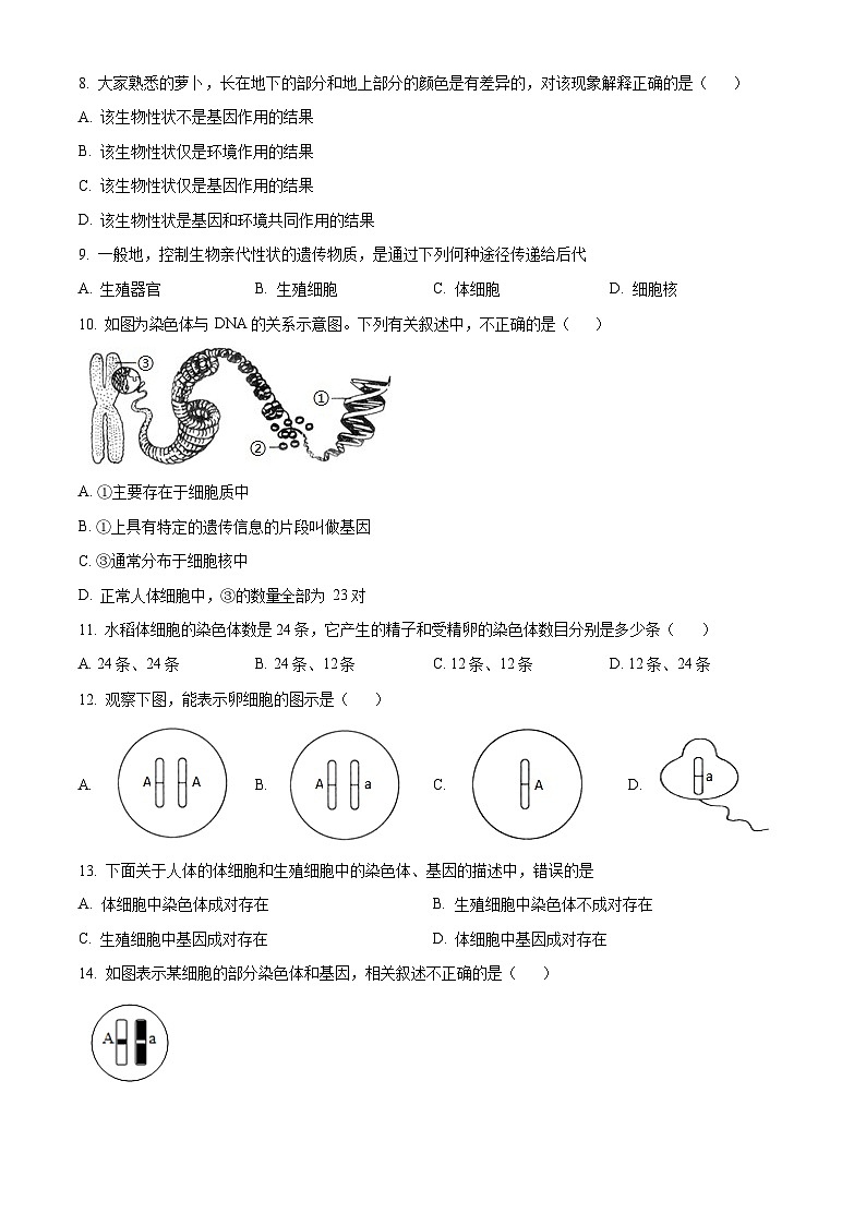 广东省广州市花都区2022-2023学年八年级下学期期中生物试题（含答案）第2页