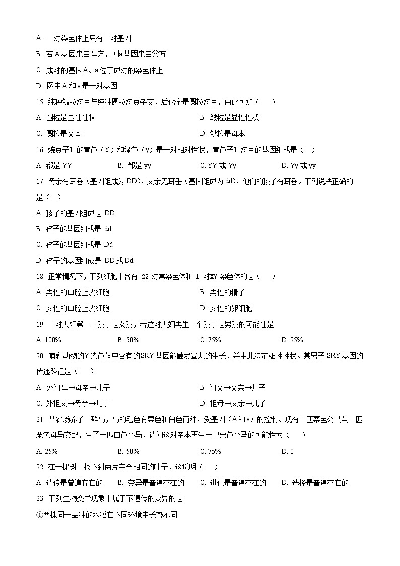 广东省广州市花都区2022-2023学年八年级下学期期中生物试题（含答案）第3页