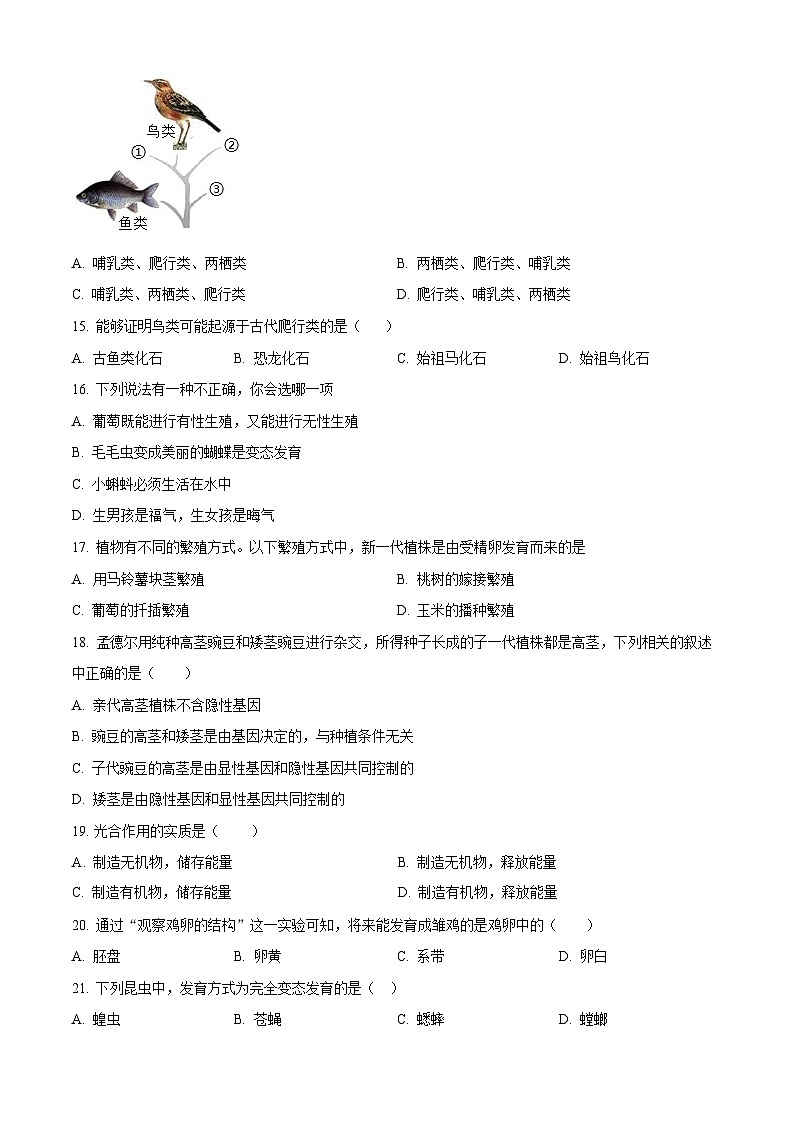 广东省广州市骏景中学2023-2024学年八年级下学期期中生物试题（含答案）第3页