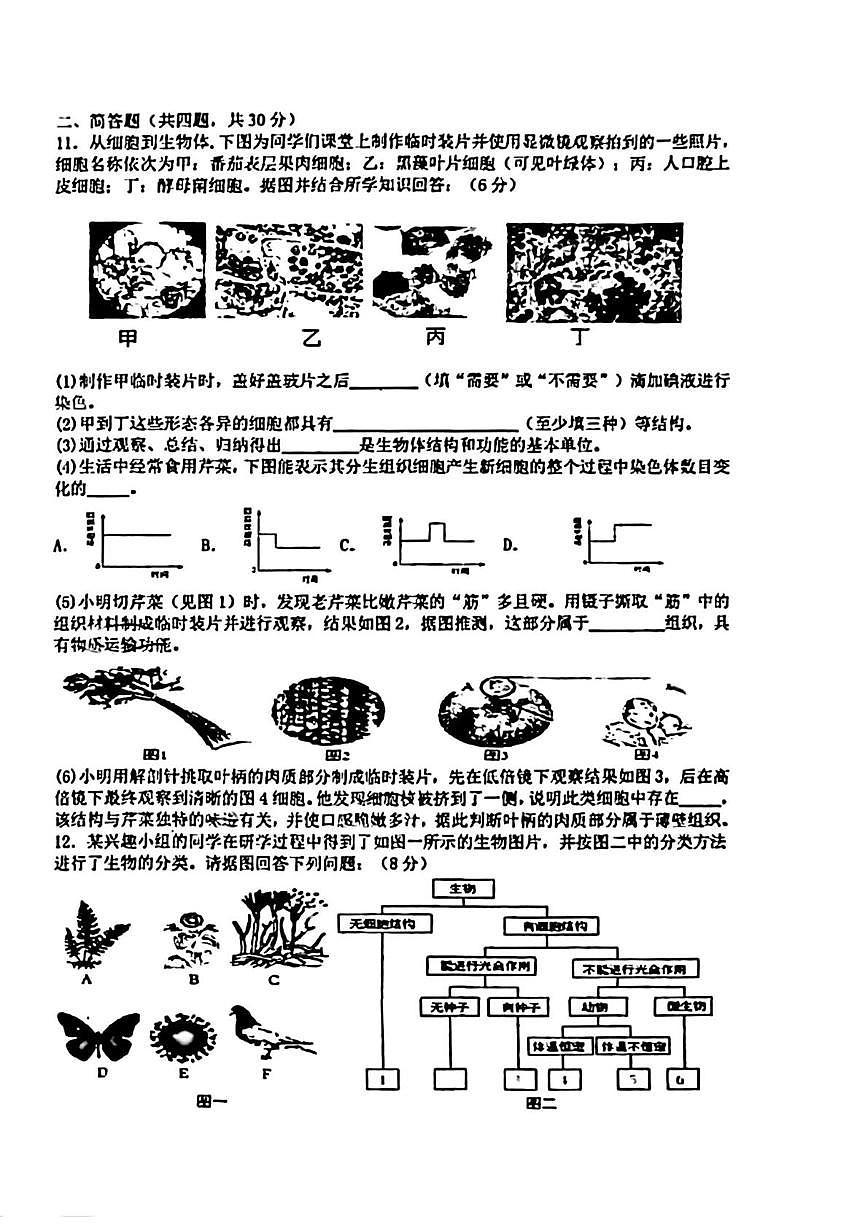 湖北襄阳市米芾中学2025-2026学年七年级下学期学情诊断生物试题（开学考）第2页