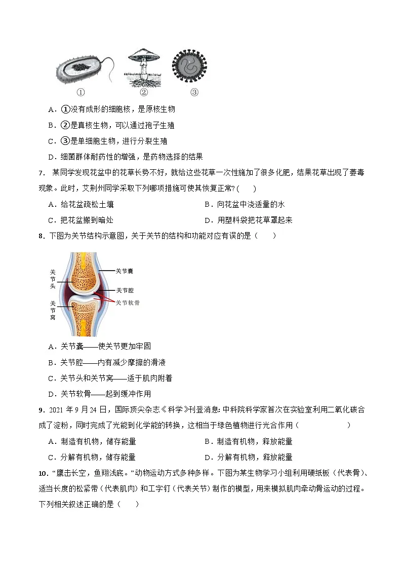 江西省吉安市省级九校2023-2024学年八年级下学期3月月考生物试题+第2页