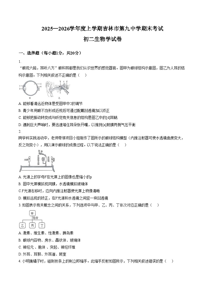 吉林省吉林市第九中学2025_2026学年八年级上学期期末考试生物试卷（文字版，含答案）第1页