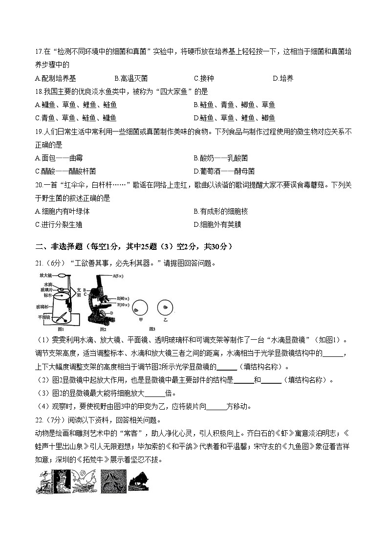 吉林省吉林市船营区第二十三中学2025_2026学年七年级上学期1月期末生物试题（文字版，含答案）第3页