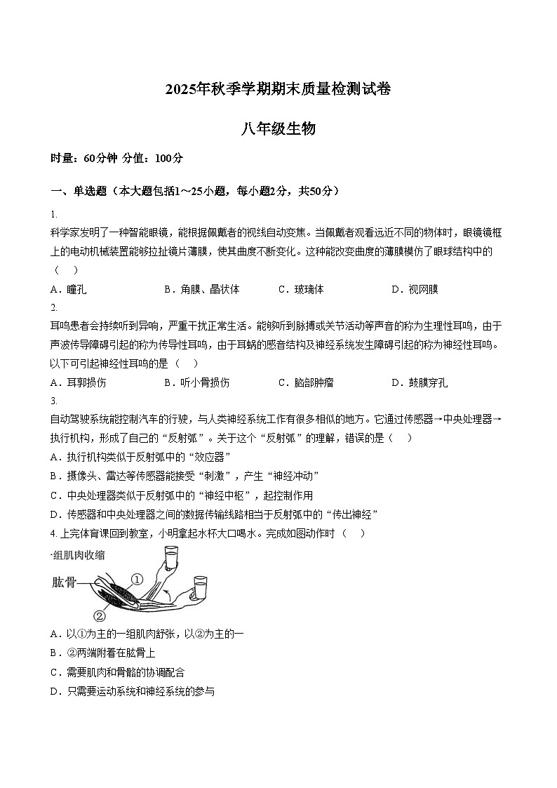 湖南省邵阳市洞口县2025_2026学年八年级上学期期末质量监测生物试题卷（文字版，含答案）第1页