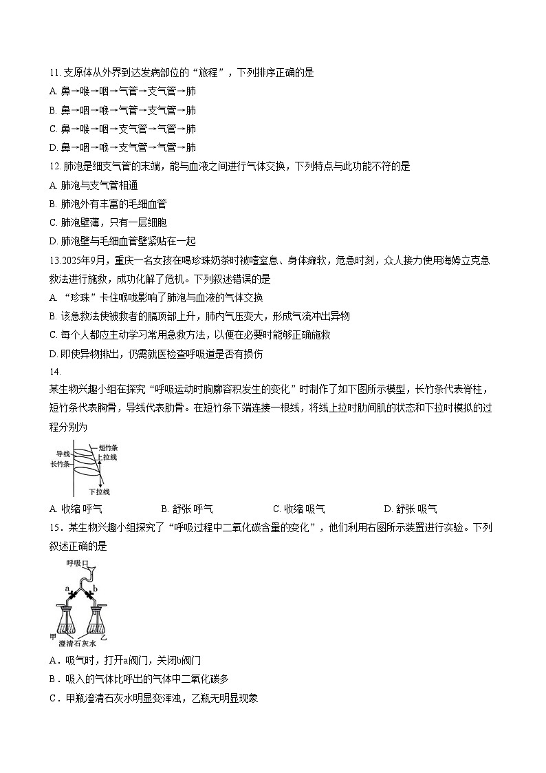 湖南省永州市祁阳市2025_2026学年八年级上学期1月期末生物试题（文字版，含答案）第3页