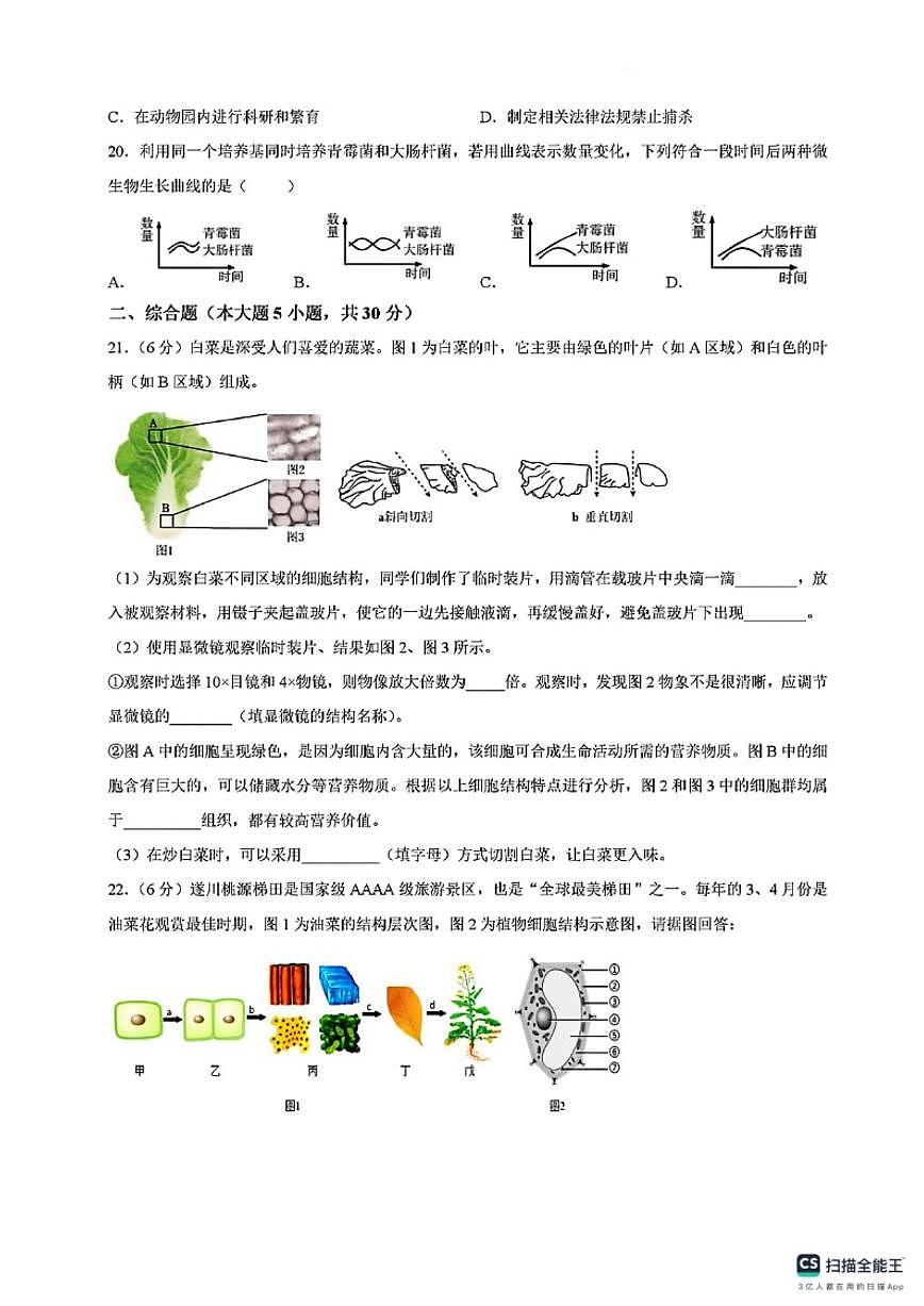 2025-2026学年江西省吉安市遂川县七年级上学期期末考试生物试题（含答案）第3页