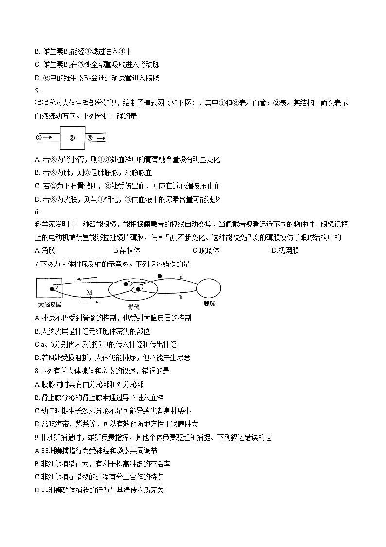 江苏省徐州市睢宁县2024一2025学年度上学期期中八年级生物试题（文字版，含答案）第2页