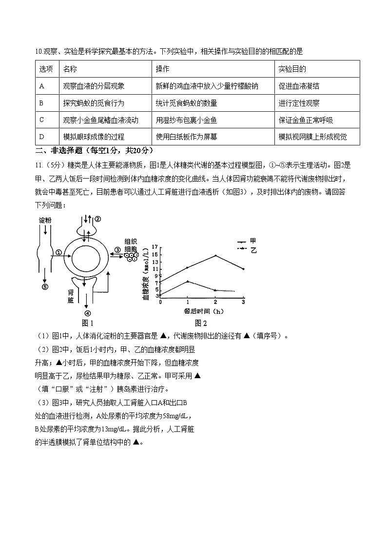 江苏省徐州市睢宁县2024一2025学年度上学期期中八年级生物试题（文字版，含答案）第3页