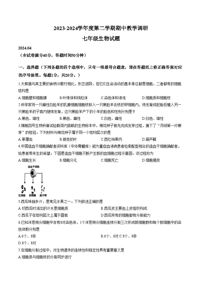 江苏省徐州市睢宁县2023一2024学年度下学期期中七年级生物试题（文字版，含答案）第1页