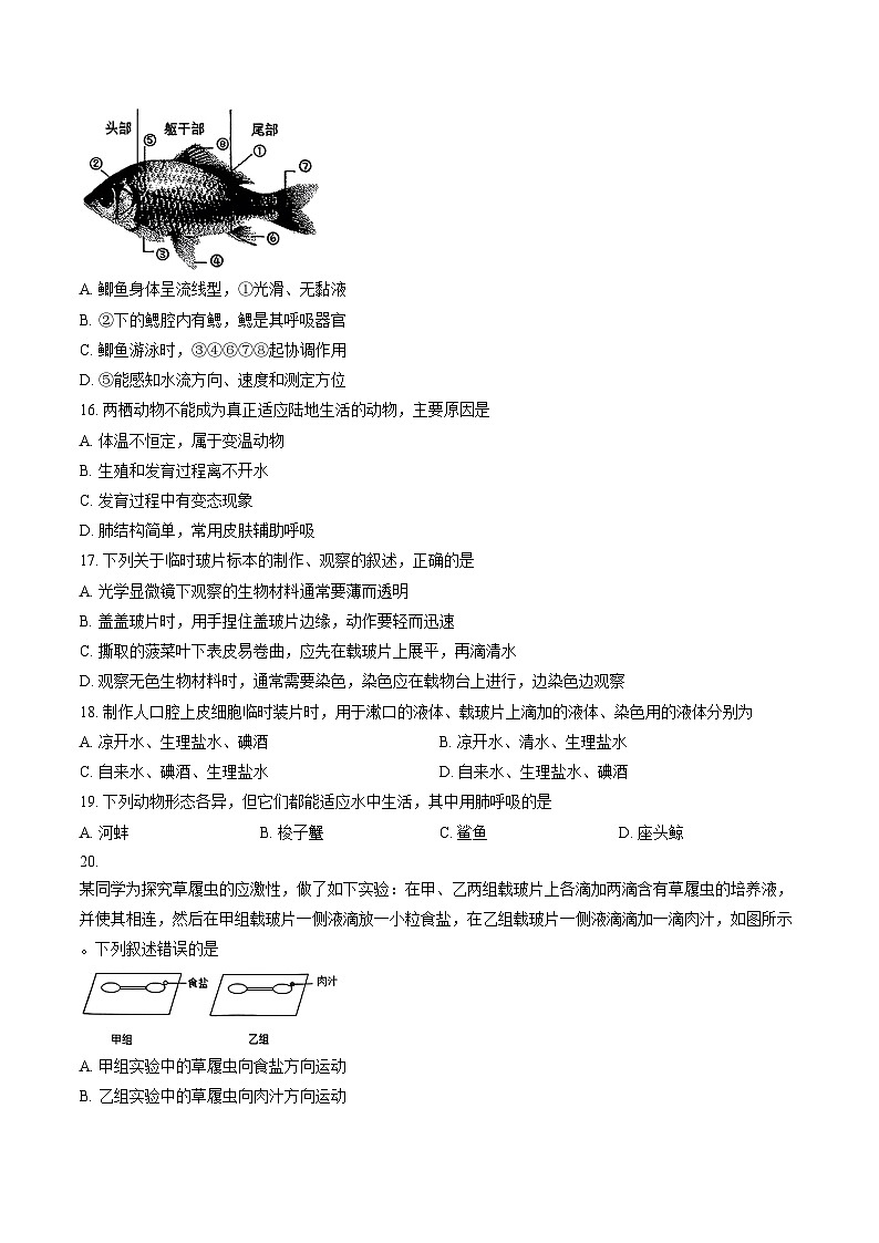 江苏省徐州市睢宁县2023一2024学年度下学期期中七年级生物试题（文字版，含答案）第3页