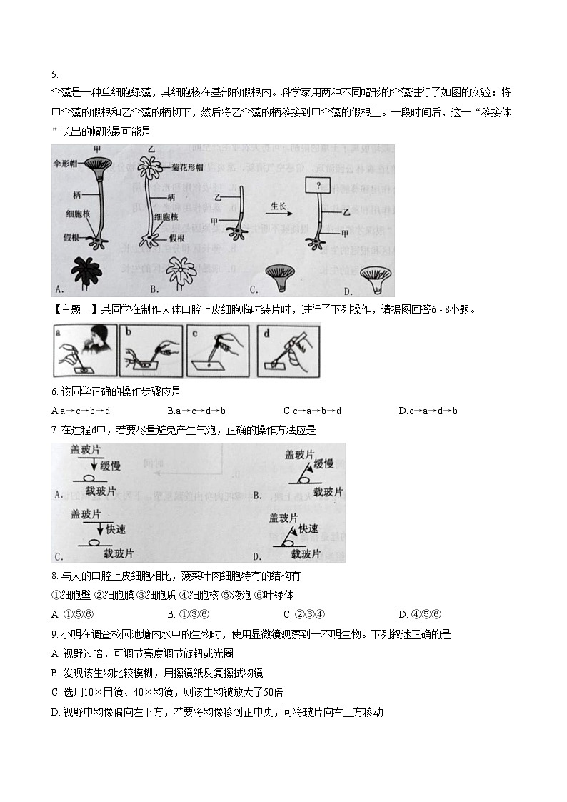 广东省揭阳市普宁市2025_2026学年七年级上学期1月期末生物试题(文字版含答案)第2页