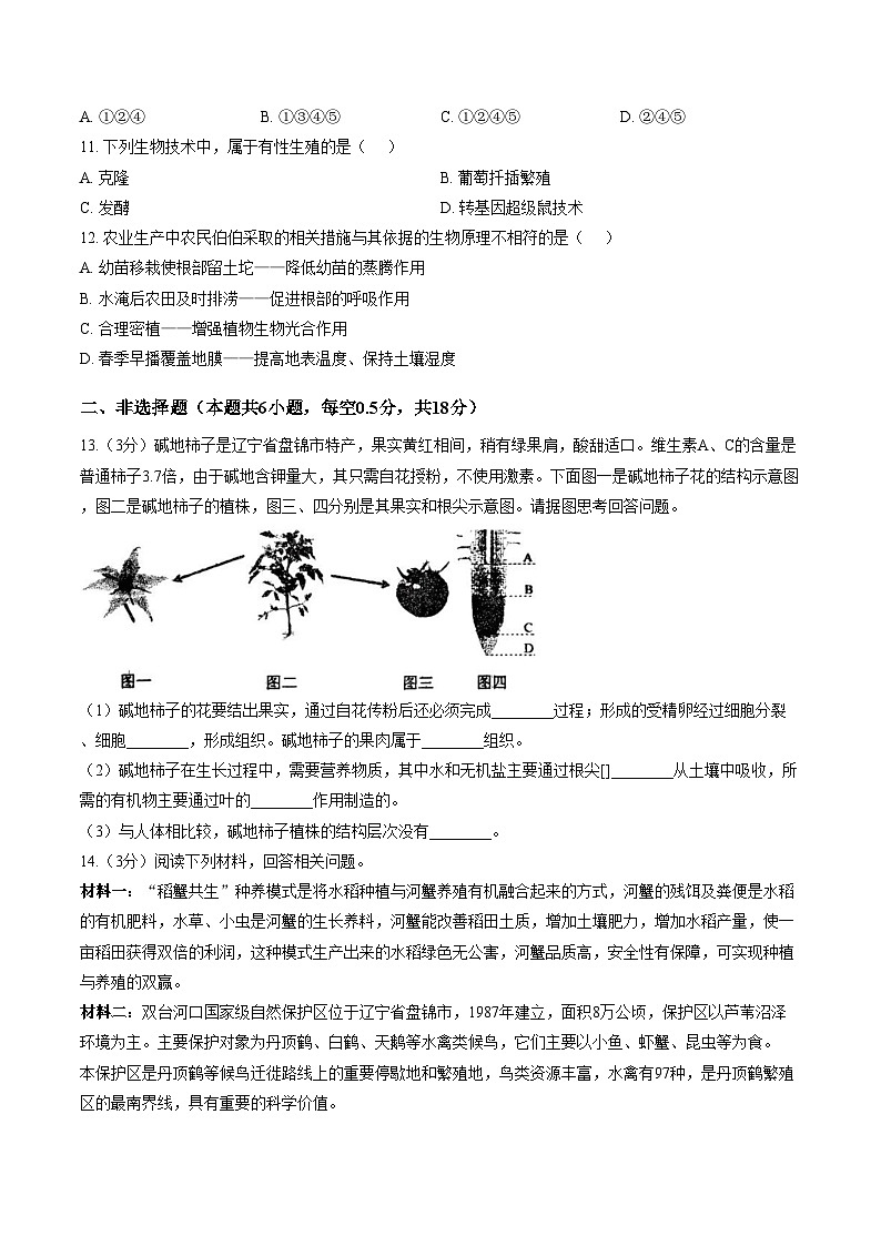 辽宁省盘锦市兴隆台区康桥中学等校2025_2026学年八年级下学期开学练习生物试题（文字版，含答案）第2页