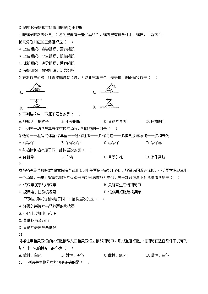 福建省莆田市秀屿区2025_2026学年七年级上学期期末生物学试题（文字版，含答案）第2页