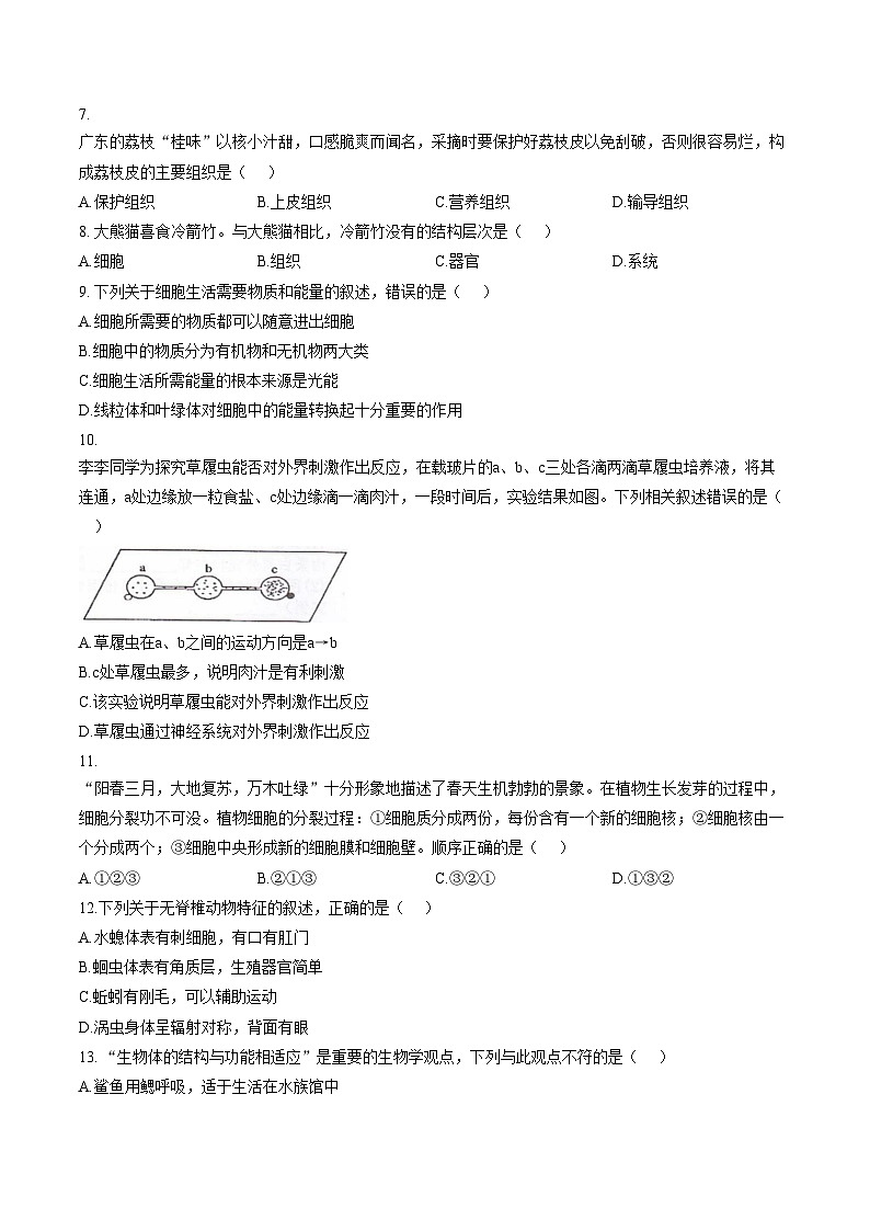 四川省绵阳市江油市2025_2026学年七年级上学期1月期末生物试题（文字版，含答案）第2页