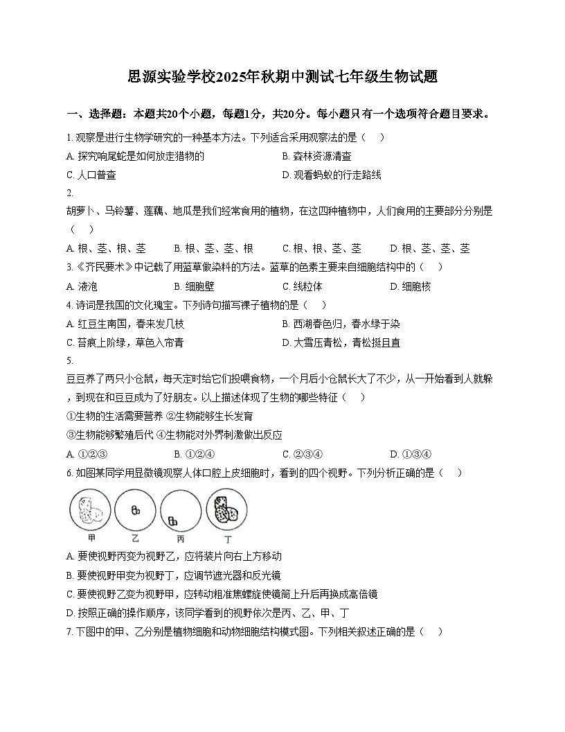 重庆市彭水县思源实验学校2025_2026学年七年级上学期期中考试生物试题（文字版，含答案）第1页