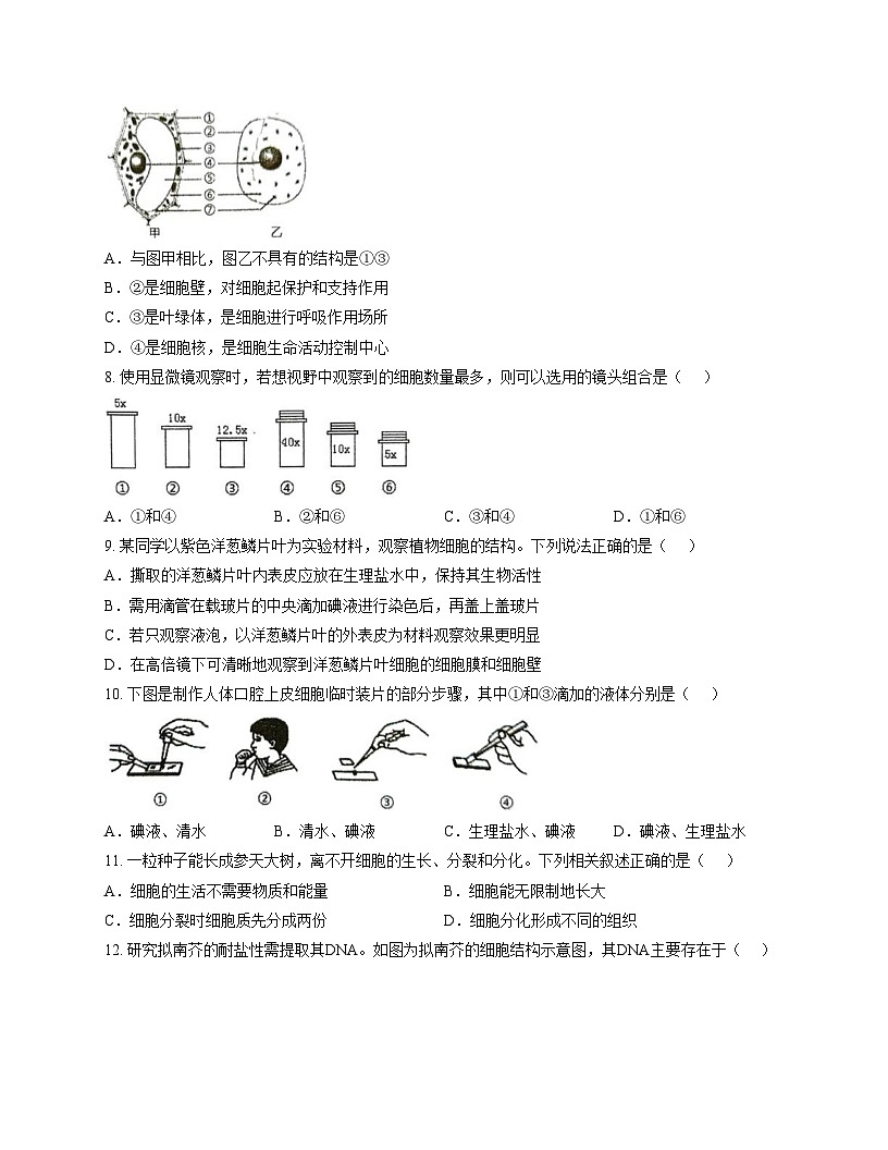 重庆市彭水县思源实验学校2025_2026学年七年级上学期期中考试生物试题（文字版，含答案）第2页