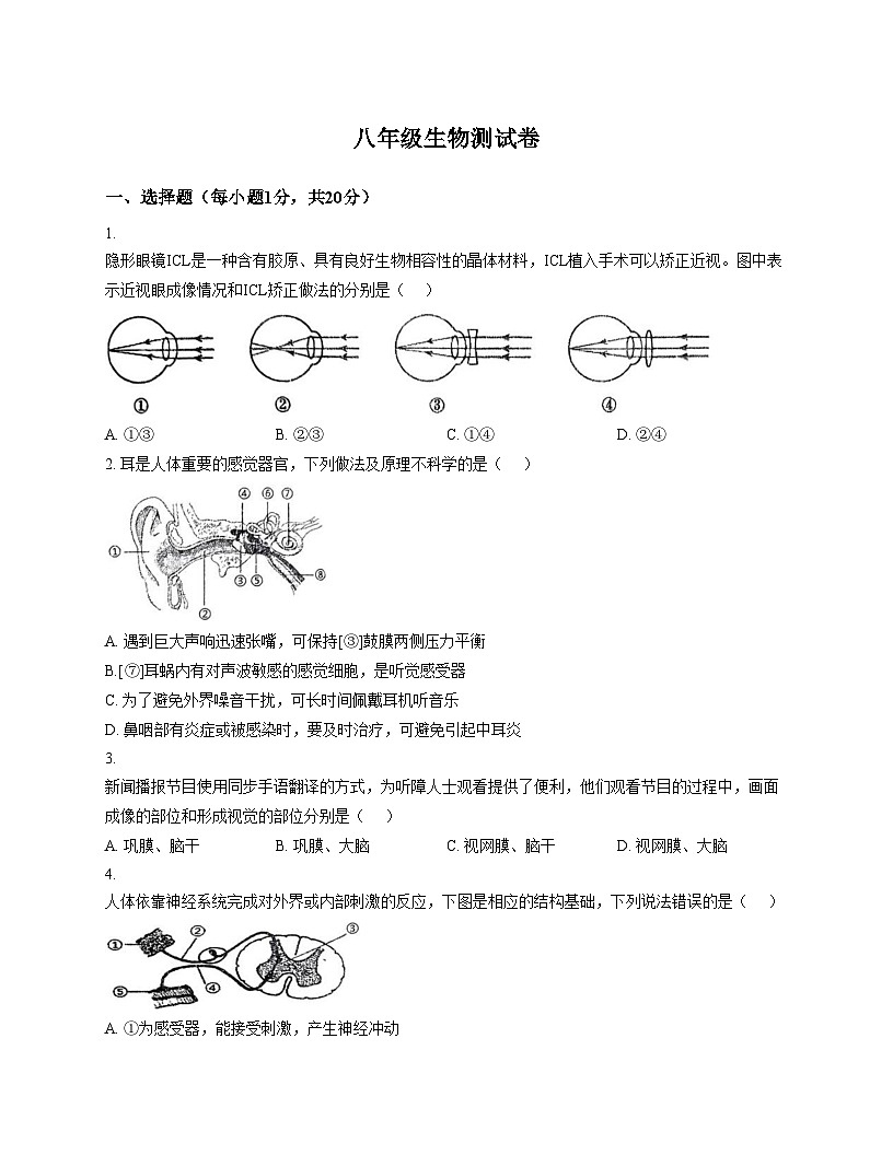 河南省鹤壁市浚县五校联考2025_2026学年八年级上学期11月期中考试生物试题（文字版，含答案）第1页