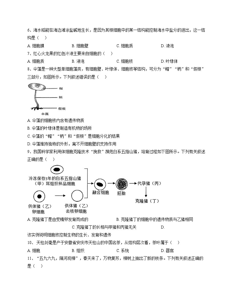 安徽省安庆市大观区外国语学校2025_2026学年七年级上学期11月期中考试生物试题（文字版，含答案）第2页