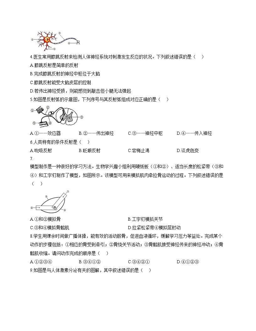 河南省濮阳市第一中学2025_2026学年八年级上学期期中考试生物试卷（文字版，含答案）第2页