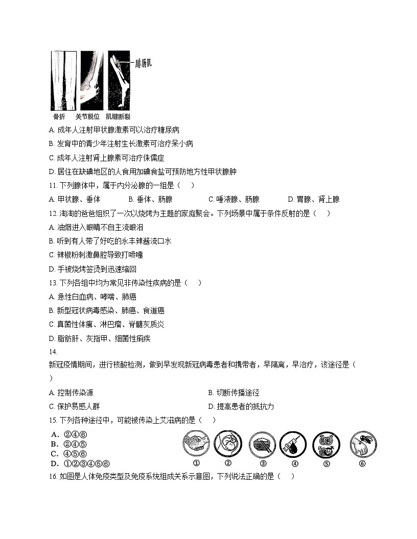 湖南省娄底市新化县2025_2026学年八年级上学期期中考试生物试卷（文字版，含答案）第3页