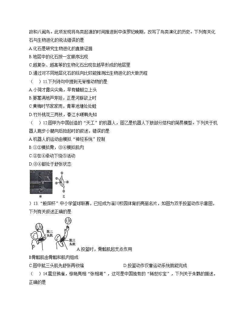 山东省淄博市淄川区2025__2026学年八年级上学期11月期中考试生物试题（文字版，含答案）第3页