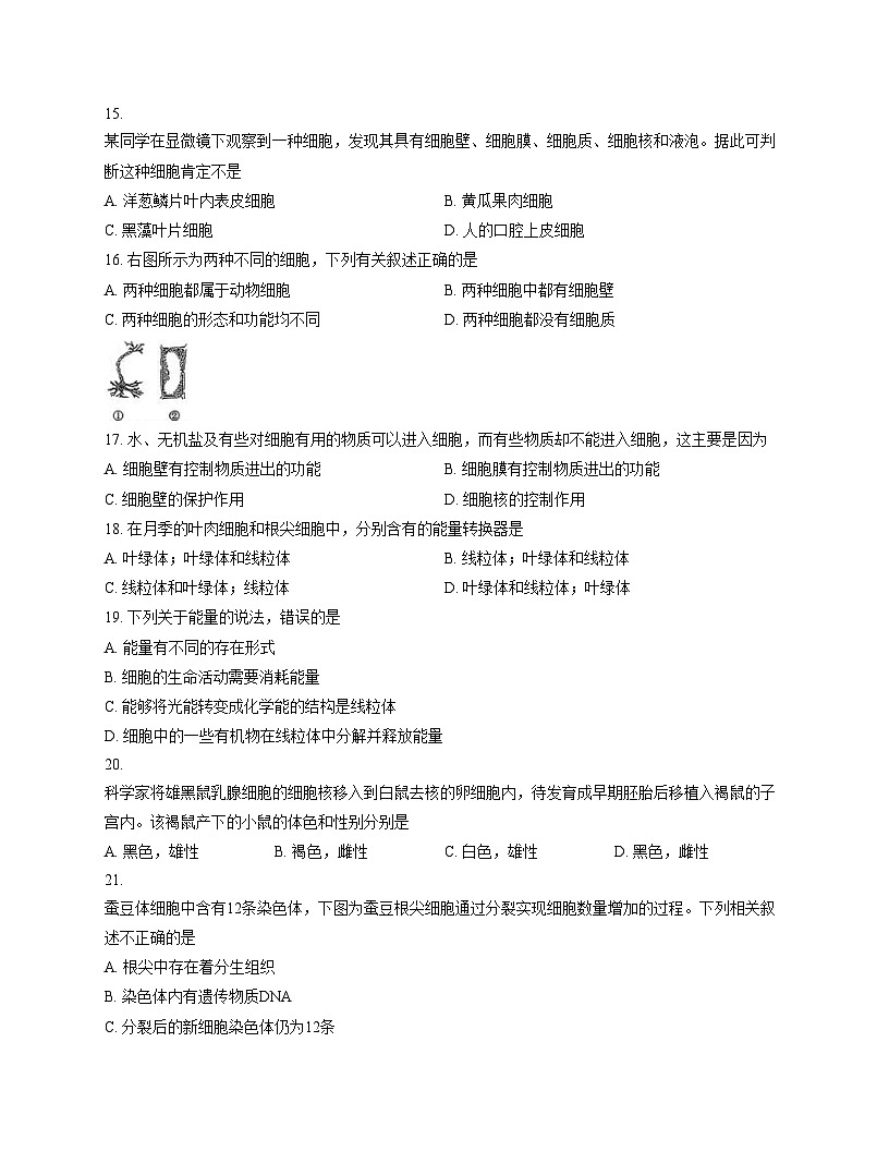 北京市铁路第二中学2025_2026学年七年级上学期期中考试生物试题（文字版，含答案）第3页