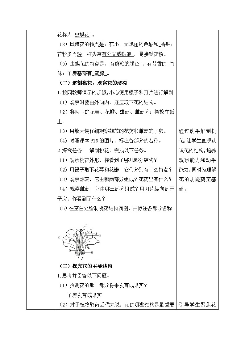 3.1.3.开花和结果（第一课时）【导学案】——2026年初中生物七年级下册人教版--教师版第2页