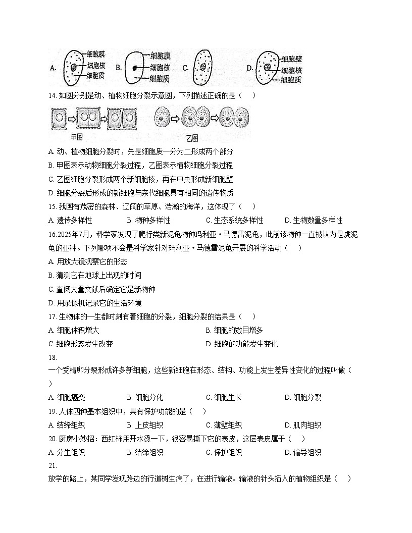 河北省廊坊市广阳区2025_2026学年七年级上学期期中阶段练习生物试卷（文字版，含答案）第3页