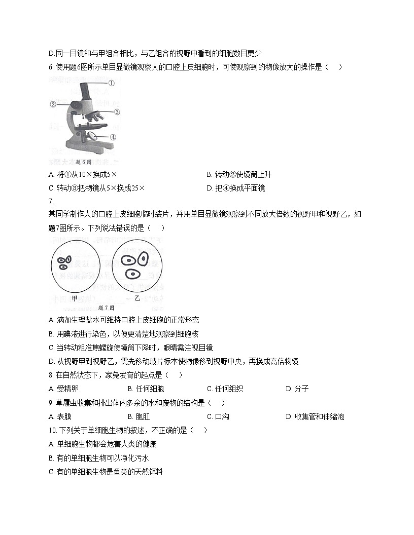 广东省阳江市阳东区2025_2026学年七年级上学期期中考试生物试卷（文字版，含答案）第2页