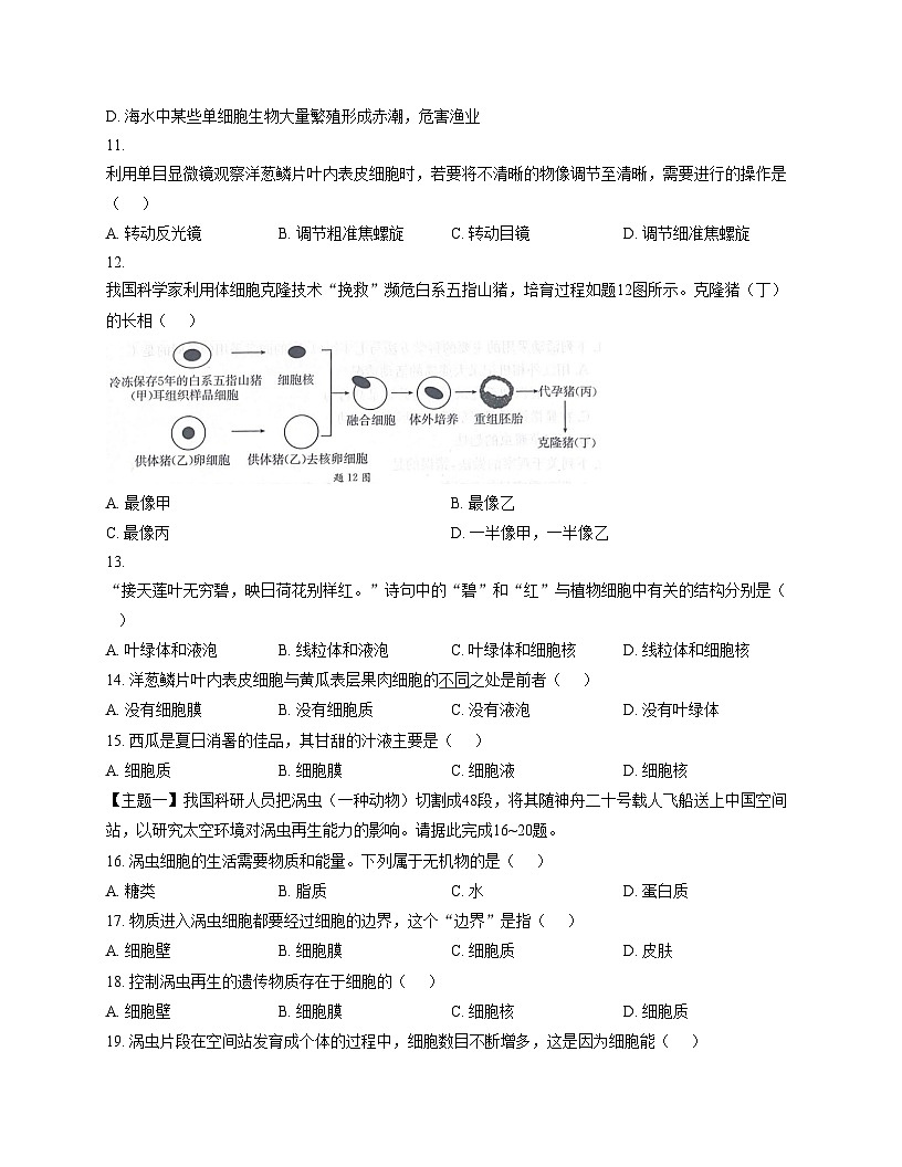 广东省阳江市阳东区2025_2026学年七年级上学期期中考试生物试卷（文字版，含答案）第3页