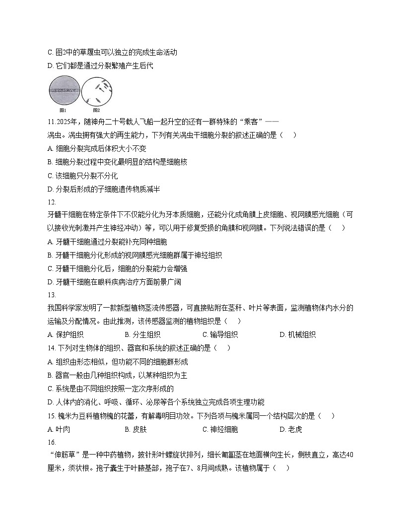 山东省滨州市滨城区2025_2026学年七年级上学期期中质量检测生物试题（文字版，含答案）第3页