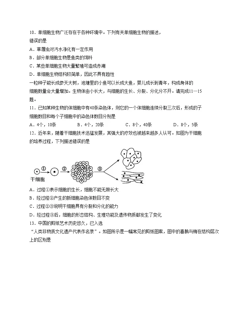 山东省临沂市沂水县2025_2026学年七年级上学期期中考试生物试题（文字版，含答案）第3页