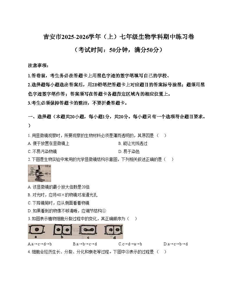 江西省吉安市永丰县2025_2026学年七年级上学期期中考试生物试题（文字版，含答案）第1页