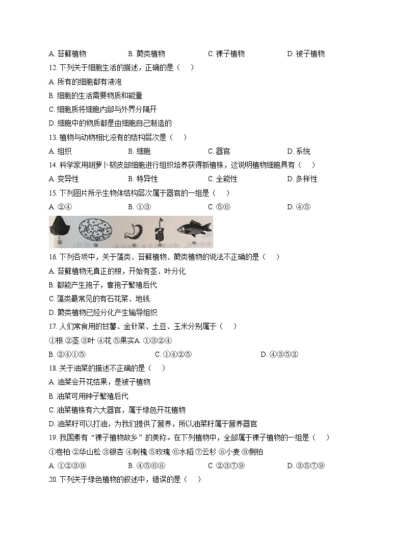 江西省吉安市永丰县2025_2026学年七年级上学期期中考试生物试题（文字版，含答案）第3页