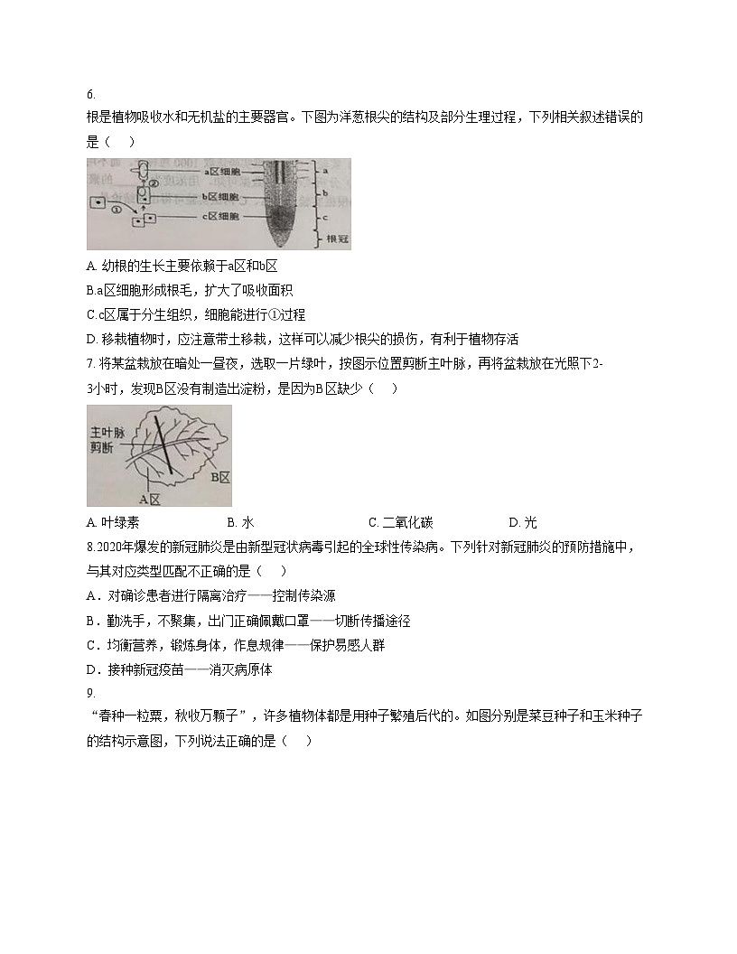 江西省吉安市永丰县2025_2026学年八年级上学期期中考试生物试题（文字版，含答案）第2页