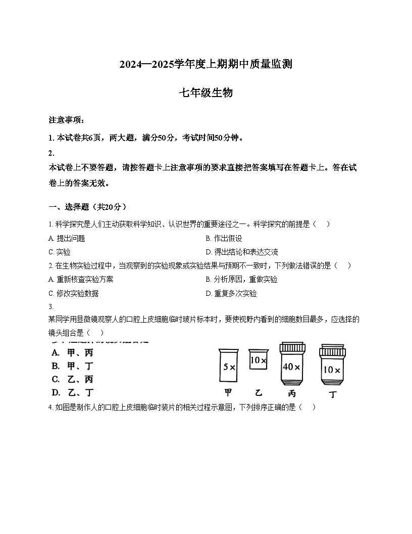 山东省枣庄市滕州市北辛中学2024_2025学年七年级上学期生物期中试卷（文字版，含答案）第1页