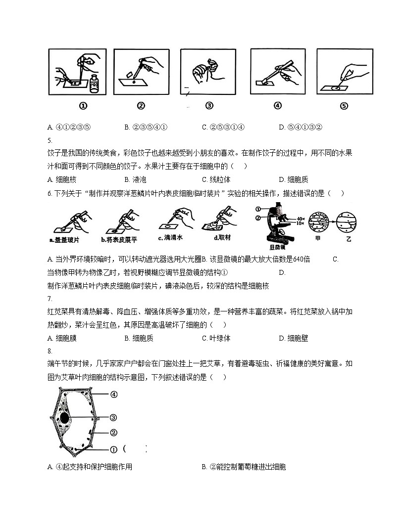 山东省枣庄市滕州市北辛中学2024_2025学年七年级上学期生物期中试卷（文字版，含答案）第2页