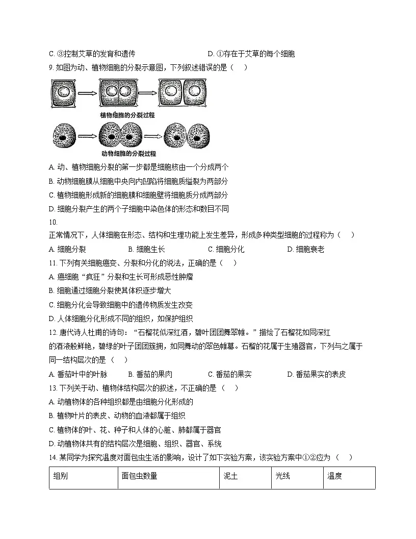 山东省枣庄市滕州市北辛中学2024_2025学年七年级上学期生物期中试卷（文字版，含答案）第3页