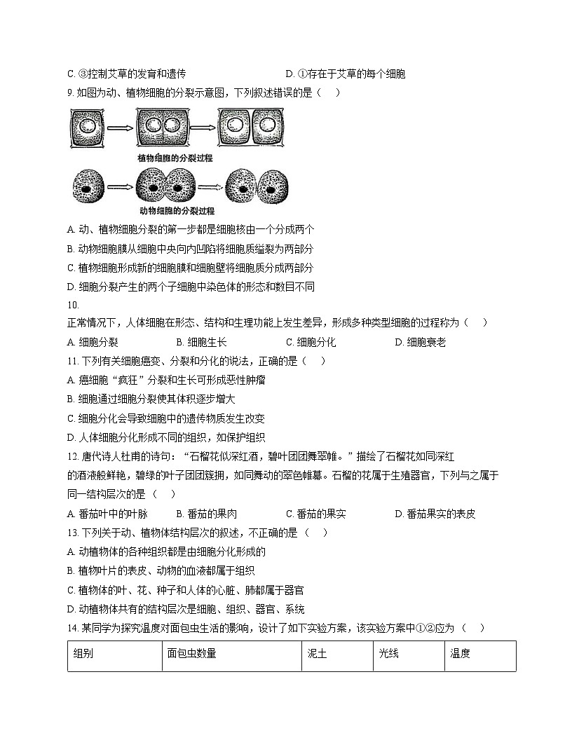 山东省枣庄市滕州市北辛中学2024_2025学年七年级上学期生物期中试卷（文字版，含答案）第3页