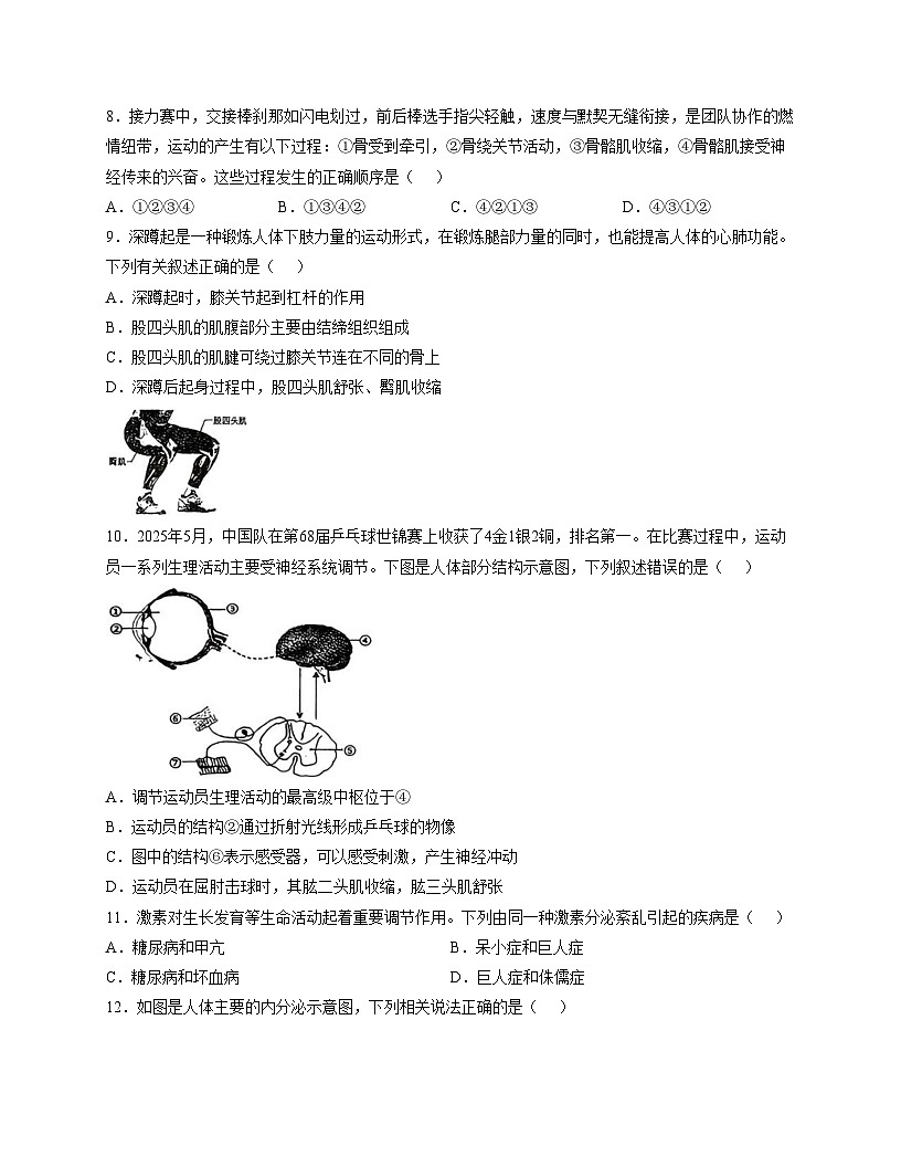 山东省临沂市蒙阴县2025_2026学年八年级上学期11月期中生物试题（文字版，含答案）第3页